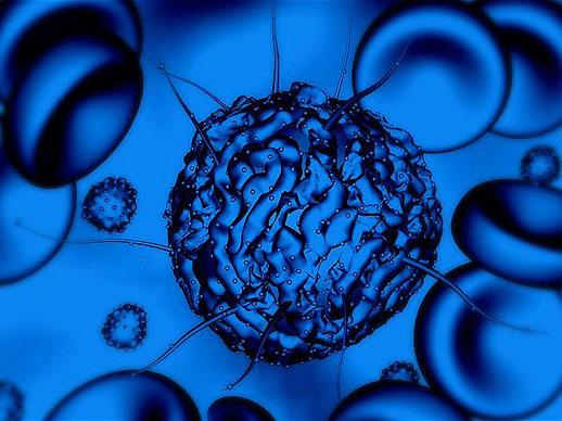 干细胞治疗研究stem cell therapy research - 产品线分类 - 佑研匠簇